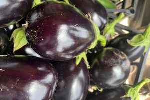 Eggplants