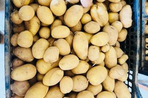 Potatoes & Sweet Potatoes