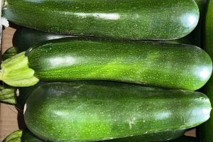 Zucchini